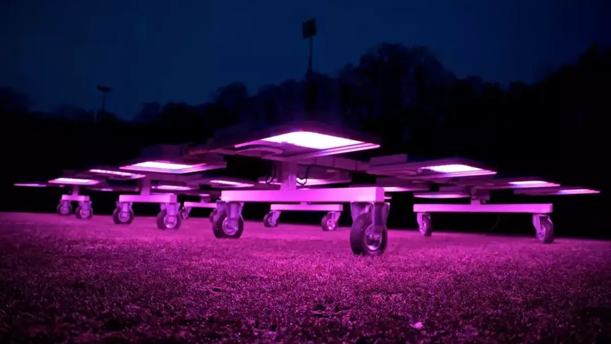 Innovative Beleuchtungstechnologien revolutionieren Rasenpflege und Pflanzenwachstum
