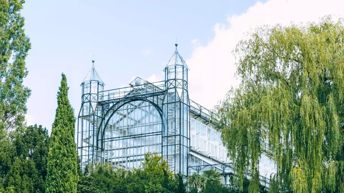 Millioneninvestition sichert Zukunft des Mittelmeerhauses im Botanischen Garten Berlin