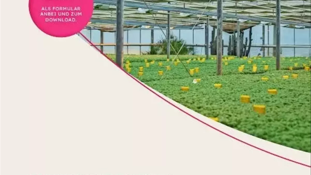 Sichere Elektrizität im Gartenbau: Ein neuer Präventionsleitfaden