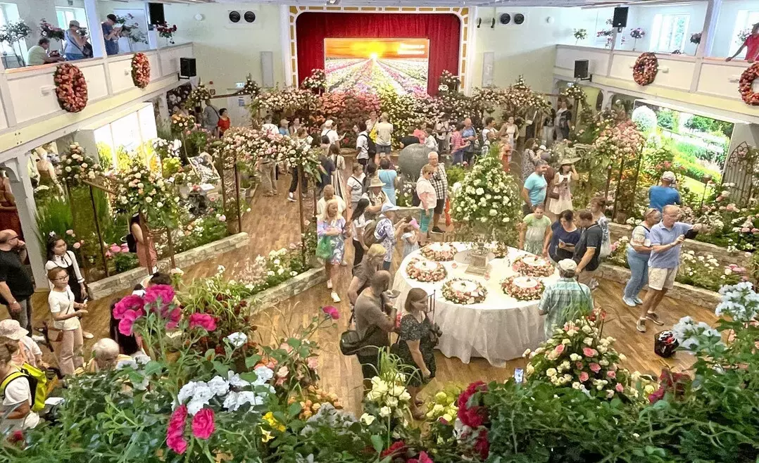 Steinfurth feiert das Rosenfest 2026: Eine florale Zeitreise durch die Kulturgeschichte der Rose