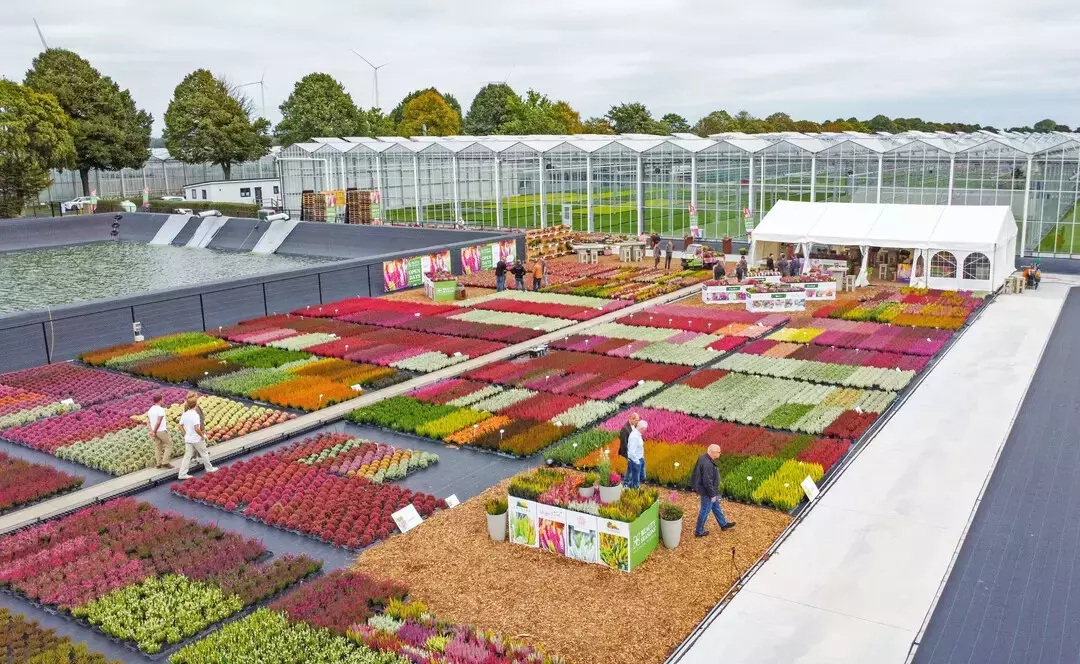 Herbstliche Gartenbautage am Niederrhein: Eine Fülle an Inspirationen und Neuheiten