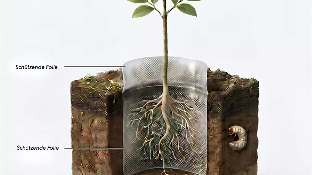 Innovativer Wurzelschutz: Bioabbaubare Folie gegen Käferlarven