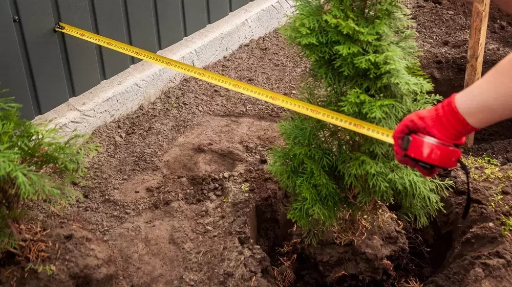 Gartengestaltung neu denken: Wege zur Transformation Ihres Außenbereichs