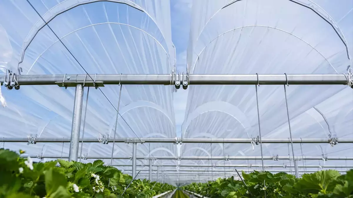 Umfassender Schutz für Gartenbaukulturen