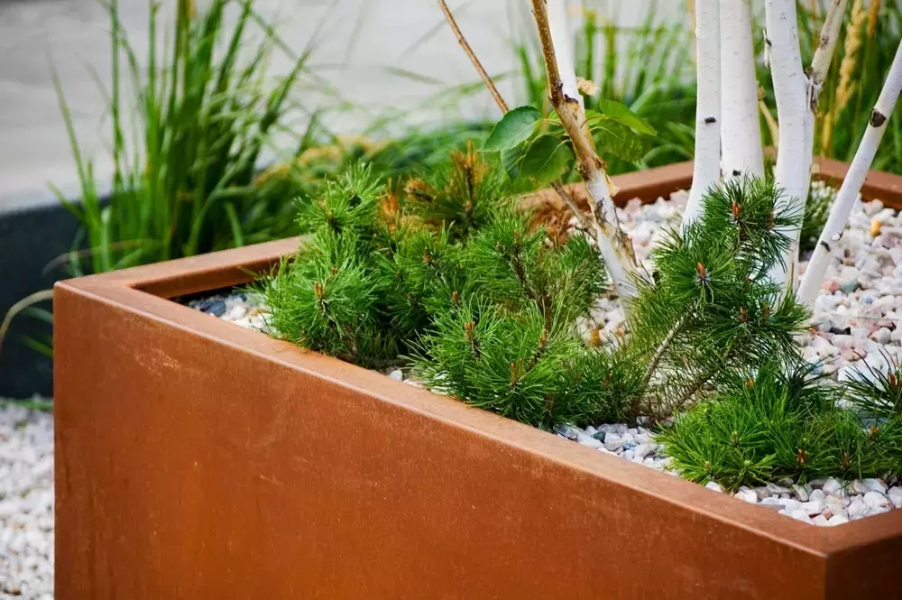 Cortenstahl-Pflanzkübel: Rostige Ästhetik im modernen Garten