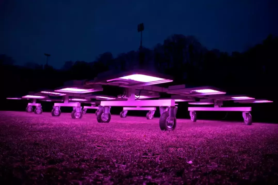 Innovative Beleuchtungstechnologien revolutionieren Rasenpflege und Pflanzenwachstum
