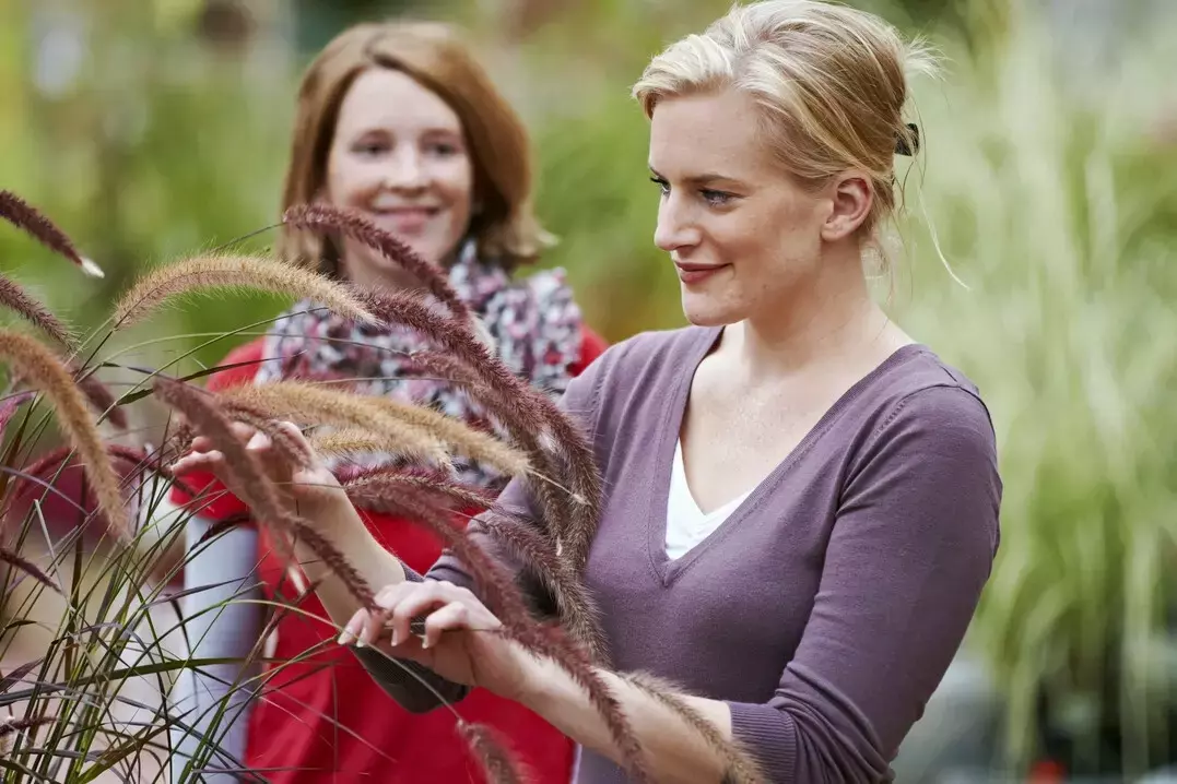 Gartentherapie: Die Bedeutung qualifizierten Personals und Weiterbildungsmöglichkeiten