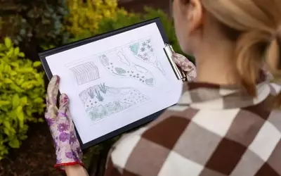 Die Kunst der Gartengestaltung: Grundpfeiler des formalen Designs