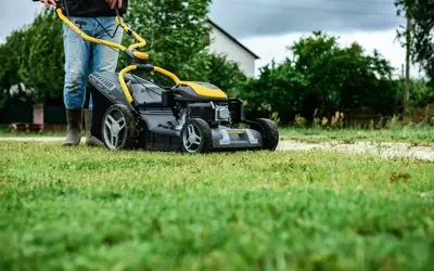 Rasenpflege bei Frost: Eine umfassende Anleitung