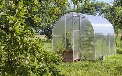 Gewächshausreinigung durch Schwefelbehandlung: Ein Leitfaden für Gartenliebhaber