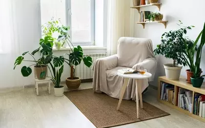 Die Natur ins Haus bringen: Ein Leitfaden für natürliches Wohnen
