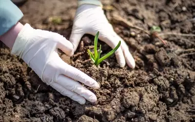 Gummihandschuhe: Unverzichtbare Helfer im Garten