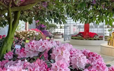 Gartenbau-Aussteller für IGA Ruhrgebiet 2027 gesucht
