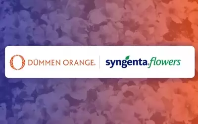 Joint Venture für Züchtung und Jungpflanzenproduktion