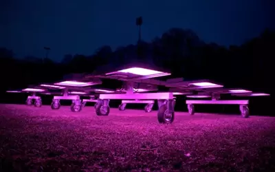 Innovative Beleuchtungstechnologien revolutionieren Rasenpflege und Pflanzenwachstum