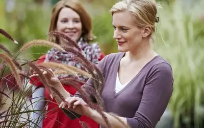 Gartentherapie: Die Bedeutung qualifizierten Personals und Weiterbildungsmöglichkeiten
