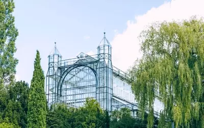 Millioneninvestition sichert Zukunft des Mittelmeerhauses im Botanischen Garten Berlin