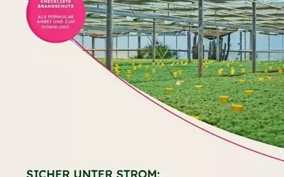 Sichere Elektrizität im Gartenbau: Ein neuer Präventionsleitfaden