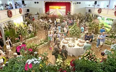 Steinfurth feiert das Rosenfest 2026: Eine florale Zeitreise durch die Kulturgeschichte der Rose