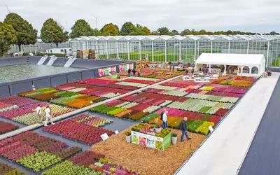 Herbstliche Gartenbautage am Niederrhein: Eine Fülle an Inspirationen und Neuheiten