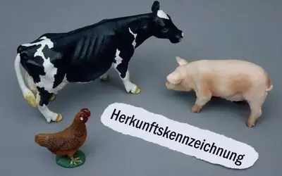Kritik an Tierhaltungskennzeichnung für Außer-Haus-Markt durch EU-Kommission bestätigt