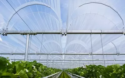 Umfassender Schutz für Gartenbaukulturen