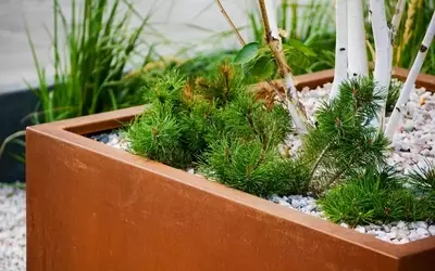 Cortenstahl-Pflanzkübel: Rostige Ästhetik im modernen Garten