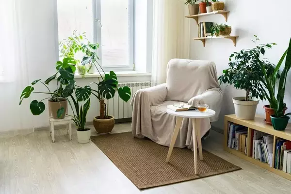 Die Natur ins Haus bringen: Ein Leitfaden für natürliches Wohnen
