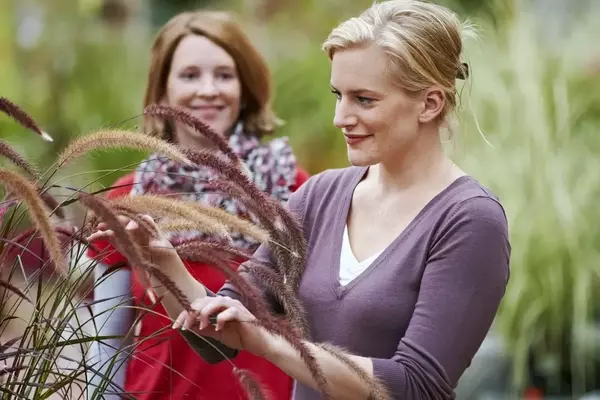 Gartentherapie: Die Bedeutung qualifizierten Personals und Weiterbildungsmöglichkeiten