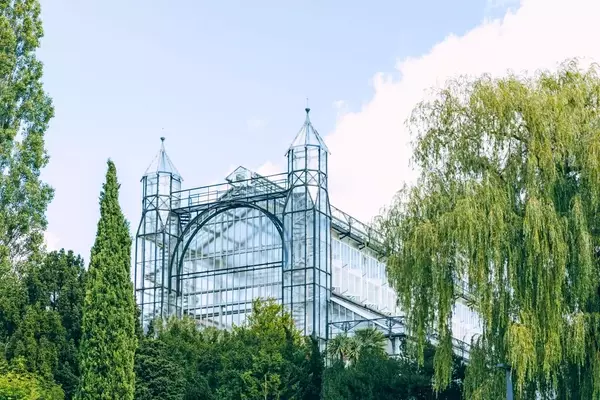 Millioneninvestition sichert Zukunft des Mittelmeerhauses im Botanischen Garten Berlin