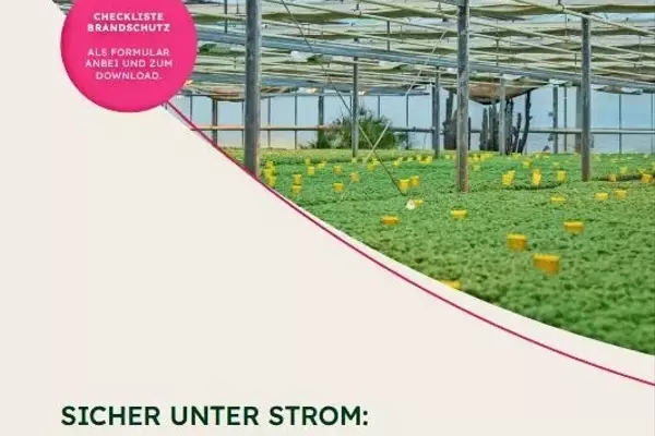 Sichere Elektrizität im Gartenbau: Ein neuer Präventionsleitfaden