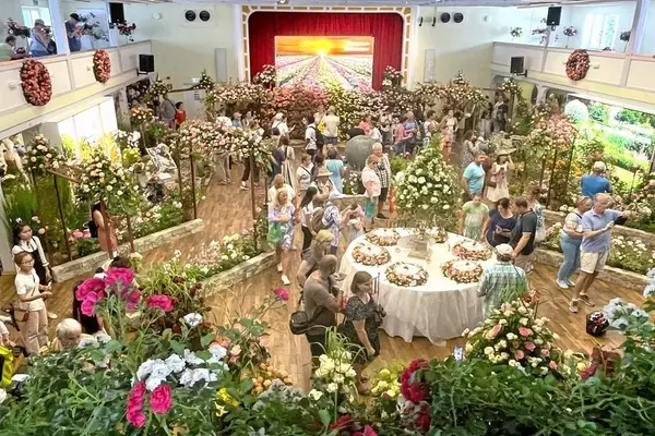Steinfurth feiert das Rosenfest 2026: Eine florale Zeitreise durch die Kulturgeschichte der Rose