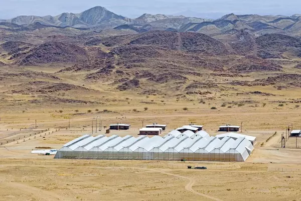 Grüner Wasserstoff: Namibias innovativer Weg zur Wüstenbegrünung