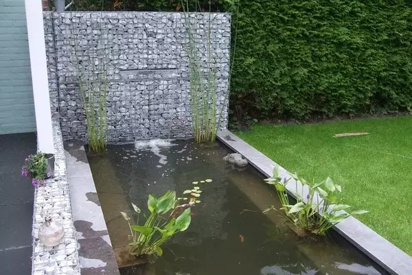 Gartengestaltung: Harmonie aus Wasser und Stein