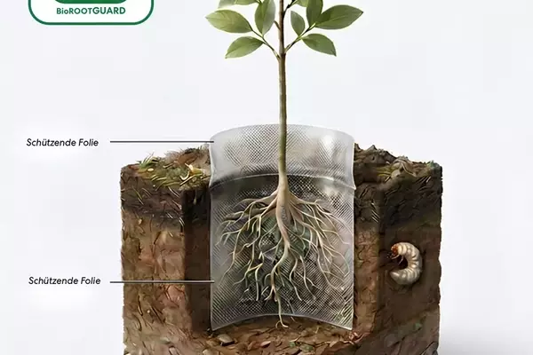 Innovativer Wurzelschutz: Bioabbaubare Folie gegen Käferlarven