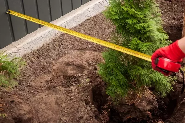 Gartengestaltung neu denken: Wege zur Transformation Ihres Außenbereichs