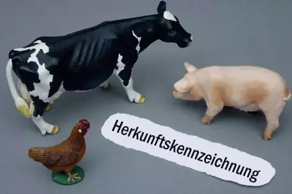 Kritik an Tierhaltungskennzeichnung für Außer-Haus-Markt durch EU-Kommission bestätigt