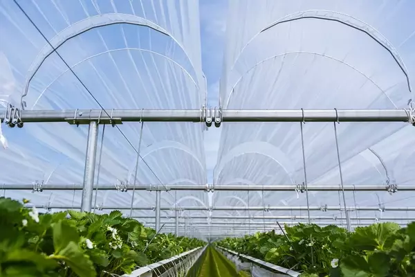 Umfassender Schutz für Gartenbaukulturen