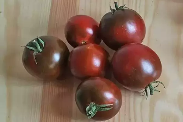 Tomatensuche für das Gewächshaus 2027