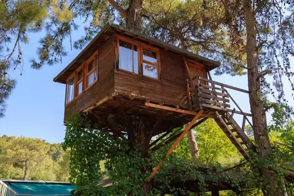 Den Traum vom Baumhaus im eigenen Garten verwirklichen