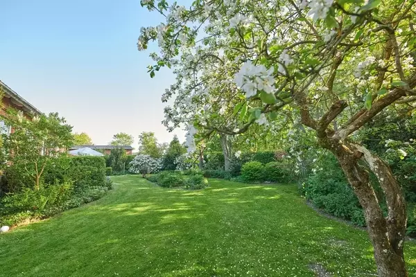 Bäume als Gartenarchitekten: Struktur, Atmosphäre und Ökologie im Grünen