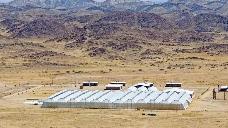 Grüner Wasserstoff: Namibias innovativer Weg zur Wüstenbegrünung
