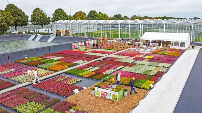 Herbstliche Gartenbautage am Niederrhein: Eine Fülle an Inspirationen und Neuheiten