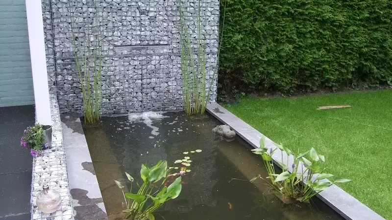 Gartengestaltung: Harmonie aus Wasser und Stein