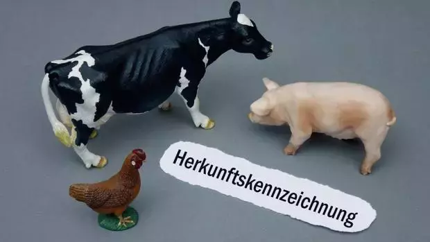Kritik an Tierhaltungskennzeichnung für Außer-Haus-Markt durch EU-Kommission bestätigt