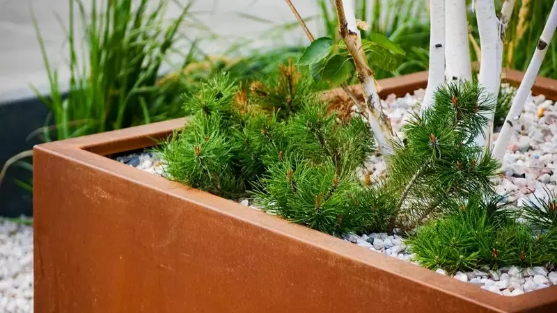 Cortenstahl-Pflanzkübel: Rostige Ästhetik im modernen Garten