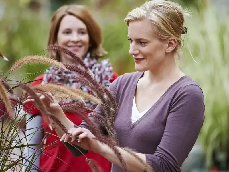 Gartentherapie: Die Bedeutung qualifizierten Personals und Weiterbildungsmöglichkeiten