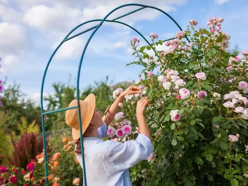 Der Rosenbogen: Eine Symbiose aus Ästhetik und Zweckmäßigkeit im Garten