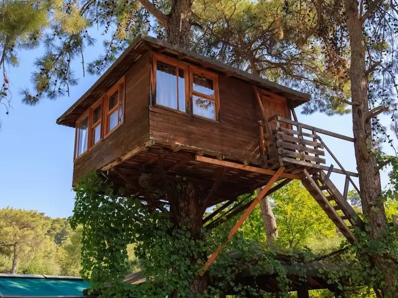 Den Traum vom Baumhaus im eigenen Garten verwirklichen
